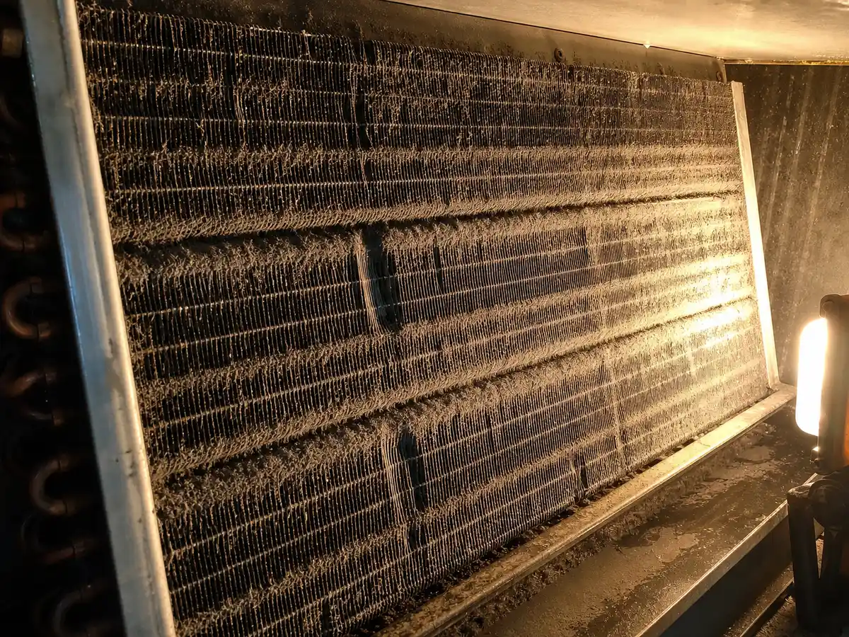 Coil Cleaning in San Rafael, CA